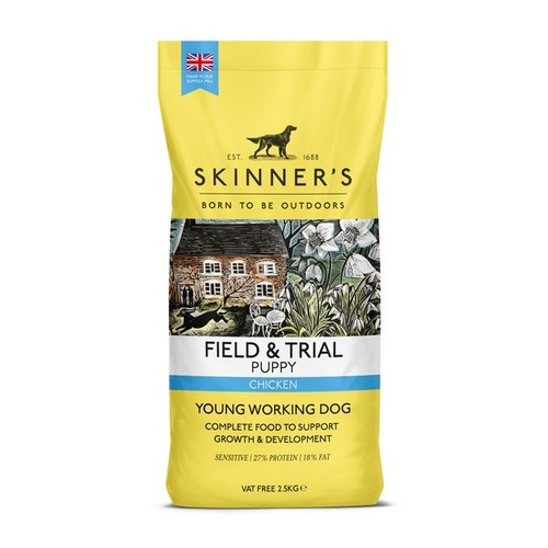Skinners field and trial puppy - field,