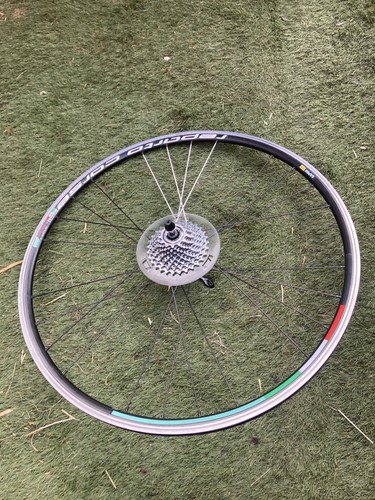 Bianchi rear cycle wheel - bianchi,