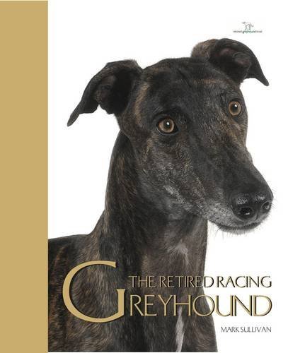 The retired racing - the, greyhound