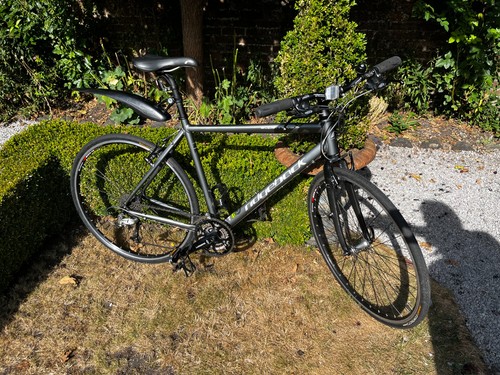 Ridgeback supernova hybrid - supernova, 19"