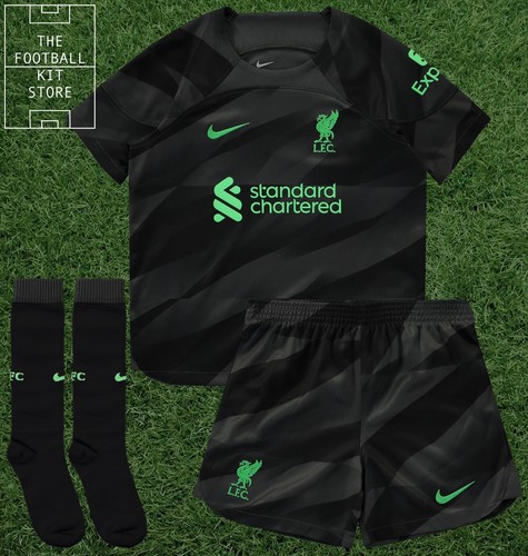 Liverpool goalkeeper full - liverpool, kit