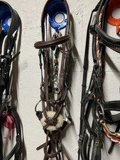 Equipe Grackle Bridle Full