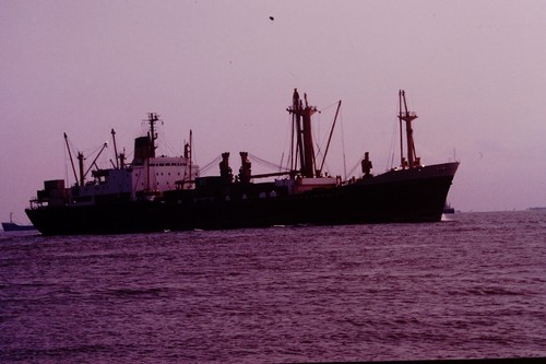 Merchant navy cargo - navy,