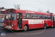 Bus Photo - Devon General