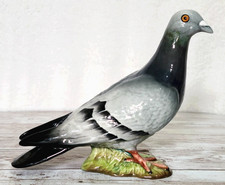 Beswick racing pigeon - racing,