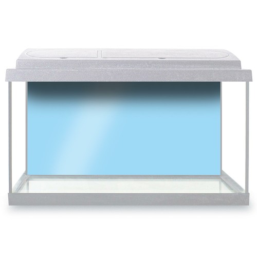 Fish tank background 100x60cm - fish,