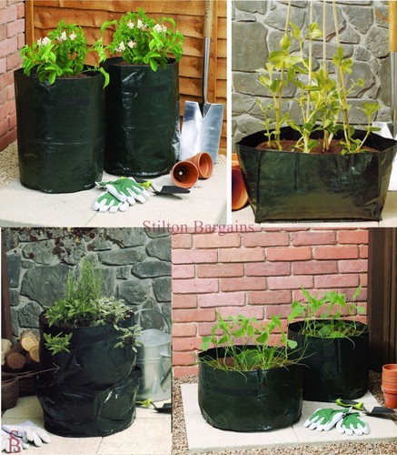 Wilko useable grow - wilko,