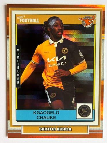 Kgaogelo chauke burton - -,