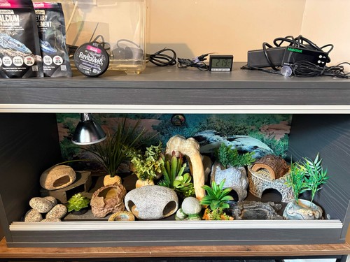 Great condition 3ft vivexotic - great,