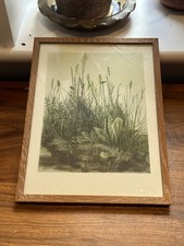 Vintage Albrecht Dürer "The