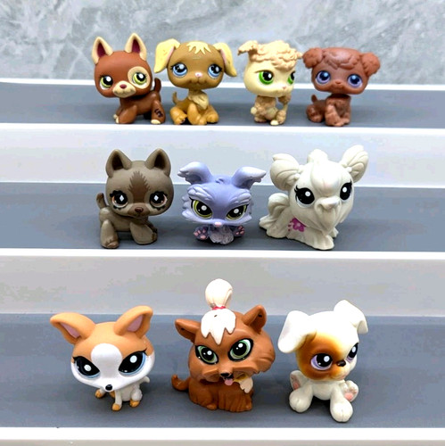 Littlest pet shop dog - 10, x