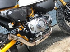 ZoOM Exhaust Brute Honda
