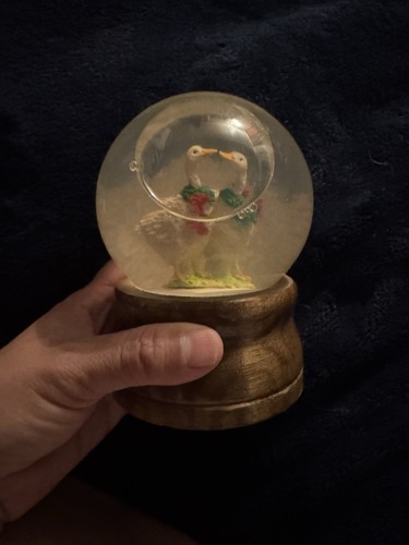 Ducks snow globes vintage