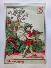 S STRAWBERRY Alphabet Letters