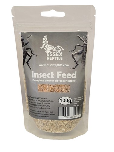 Essex reptile insect feed - reptile,