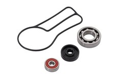 AS3 WATER PUMP REPAIR KIT for