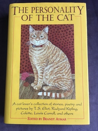 The personality cat - the,