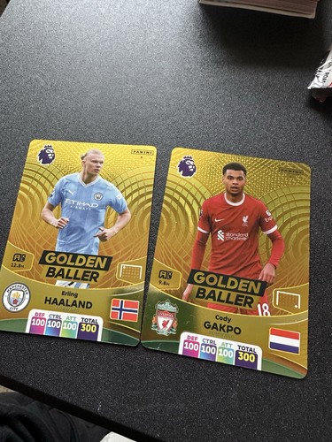 2023 2024 panini - panini, premier
