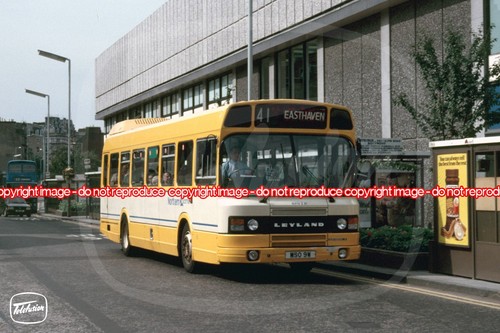 Bus photo northern - photo,