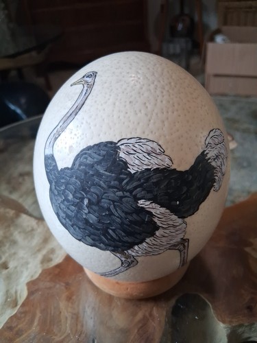 Hand painted ostrich egg - hand-painted,