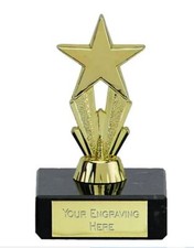 Micro Star Award Trophy Table of the Week School Leavers Prom FREE engraving 