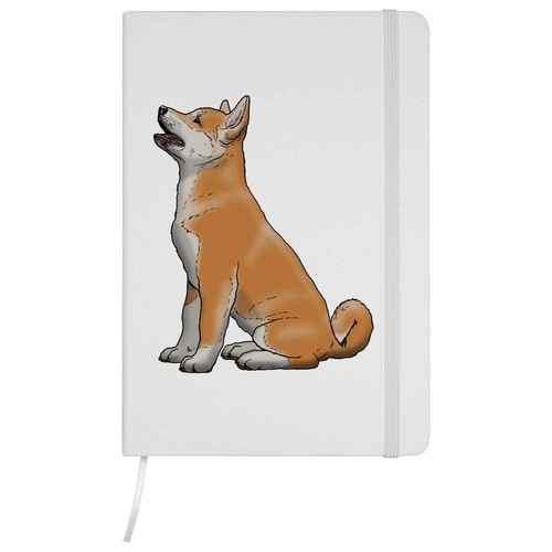 Begging akita puppy - akita, puppy'
