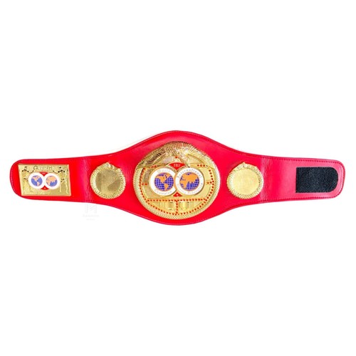 Ibf kids mini - kids, championship