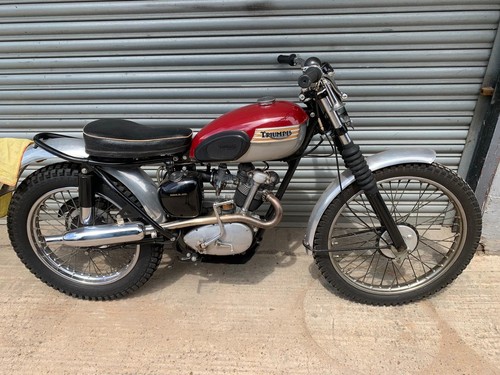 1962 triumph tiger - tiger, cub