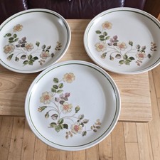 Plates Autumn Leaves large