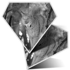 2 x Diamond Stickers 7.5cm BW