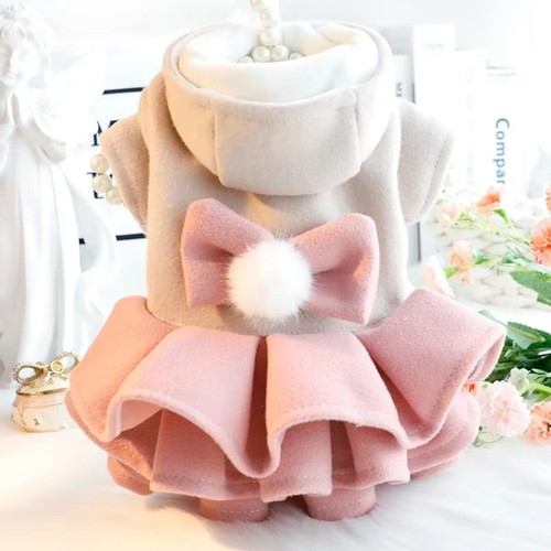 Autumn winter outfit pet - autumn,