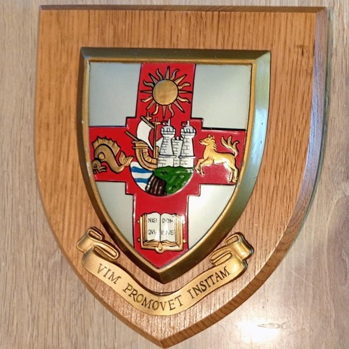 Vintage bristol university - vintage,