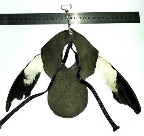 New falconry wings bird - new,
