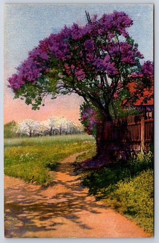 Antique germany postcard - antique,