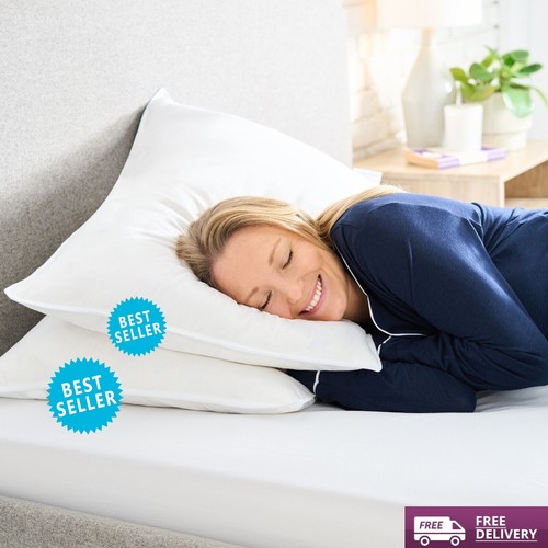Feather goose down pillows - goose,