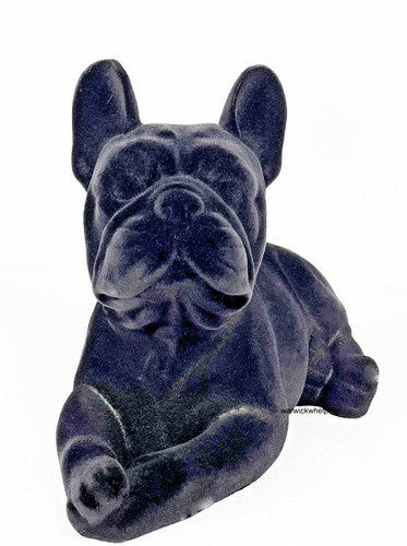 Dog french bulldog black - dog,