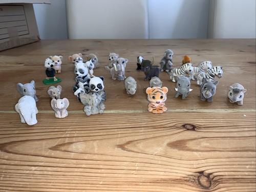 Rare meg puppies - rare, my