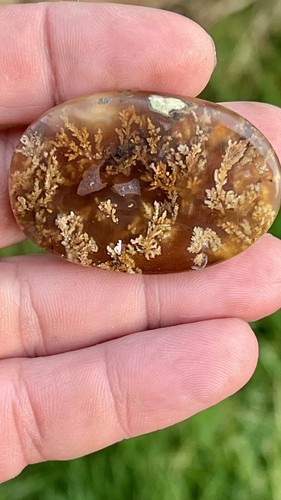 Plume agate cabochon - plume,