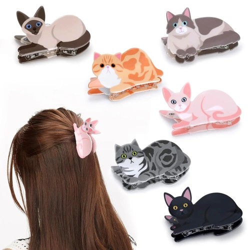 Cute cat hair - cute,
