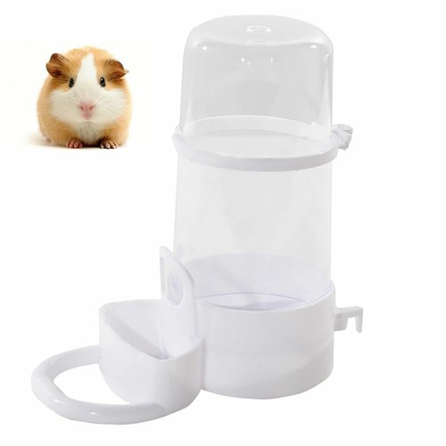 Pet bird feeder water - pet,