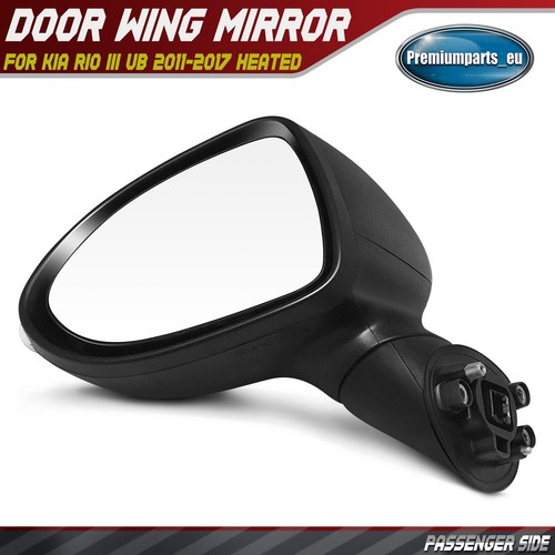 Electric door wing - wing, mirror