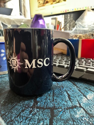 Msc cruises official mug - official,