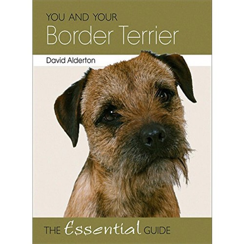 You and your border terrier - you,