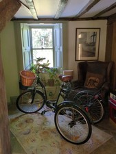 Jorvik Electric Folding Tricycle In Immaculate Condition In British Racing Green