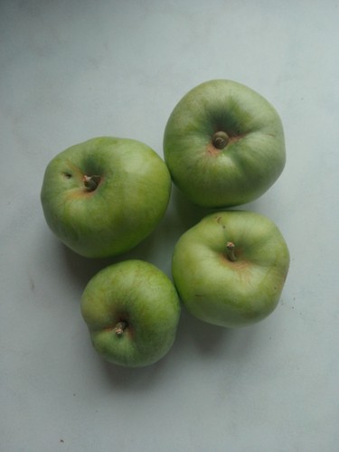Fresh british bramley - british, apples