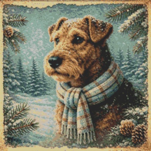 Welsh terrier puppy dog - welsh,