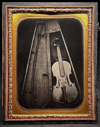 Contemporary 4 plate - ,