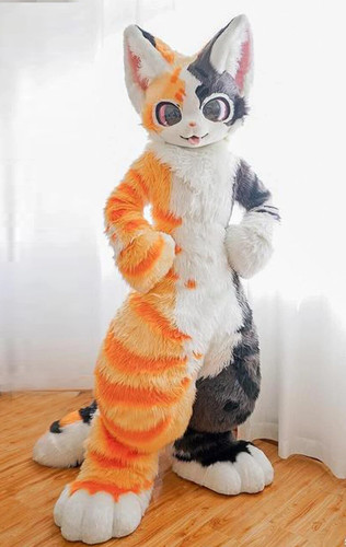 Long fur husky dog fox - long,