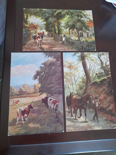 Old postcards rural - 3x,