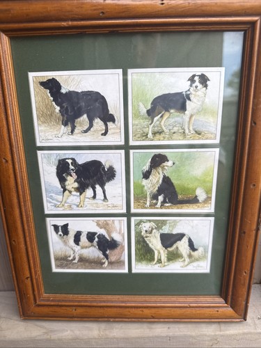 Vintage framed border - vintage,